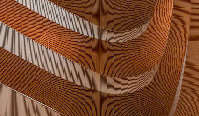 Interior architecture with curved layered wooden panels